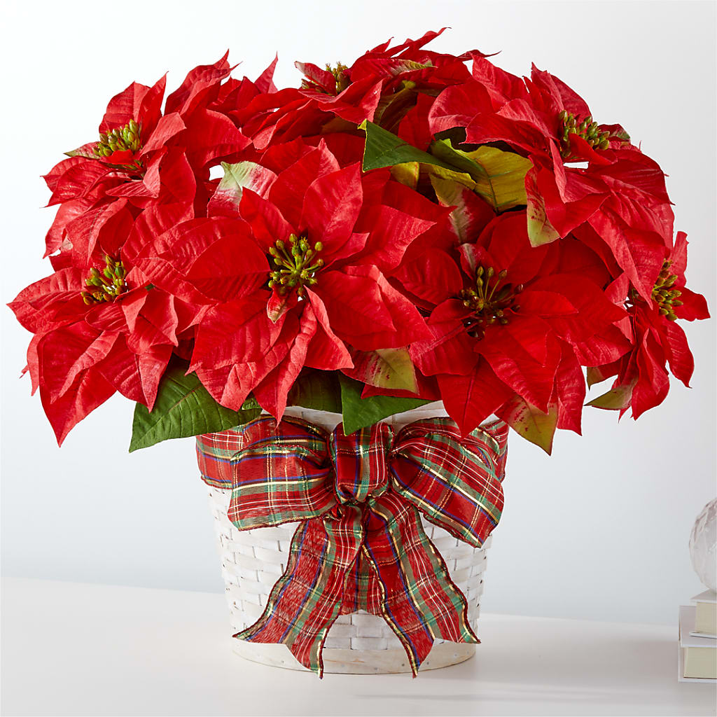 Happiest Holidays Poinsettia – Garden Of Eden Florist Inc, Coplay PA