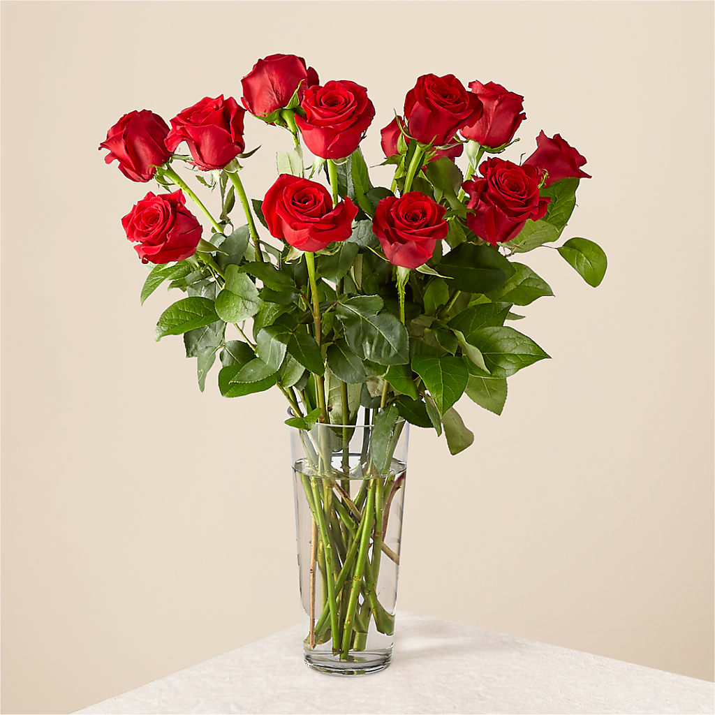Long Stem Red Rose Bouquet – Garden Of Eden Florist Inc, Coplay PA