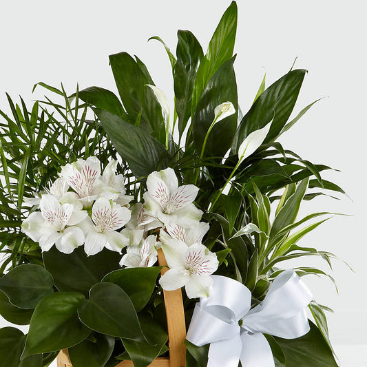Peace & Serenity Dishgarden – Garden Of Eden Florist Inc, Coplay PA