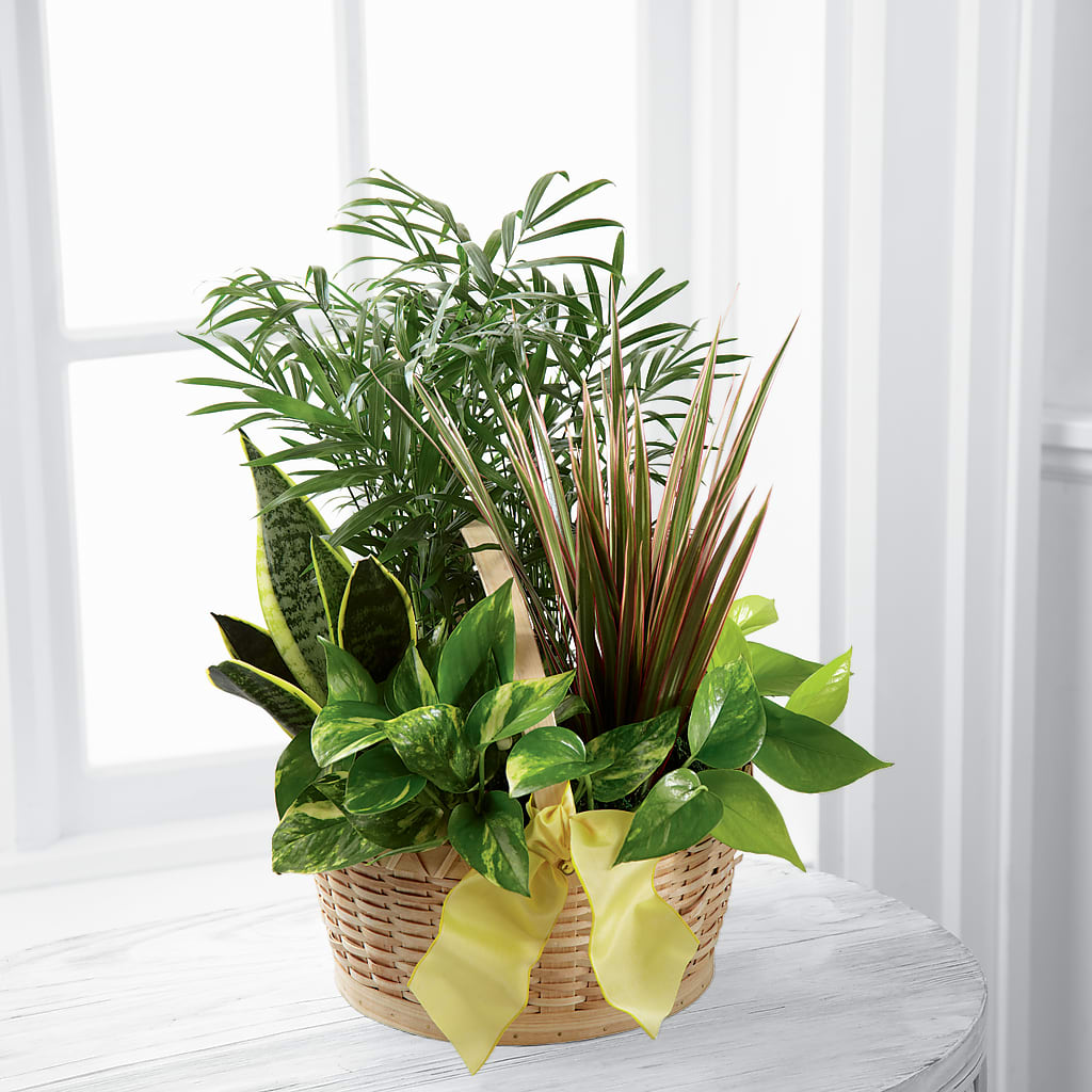 French Garden – Garden Of Eden Florist Inc, Coplay PA