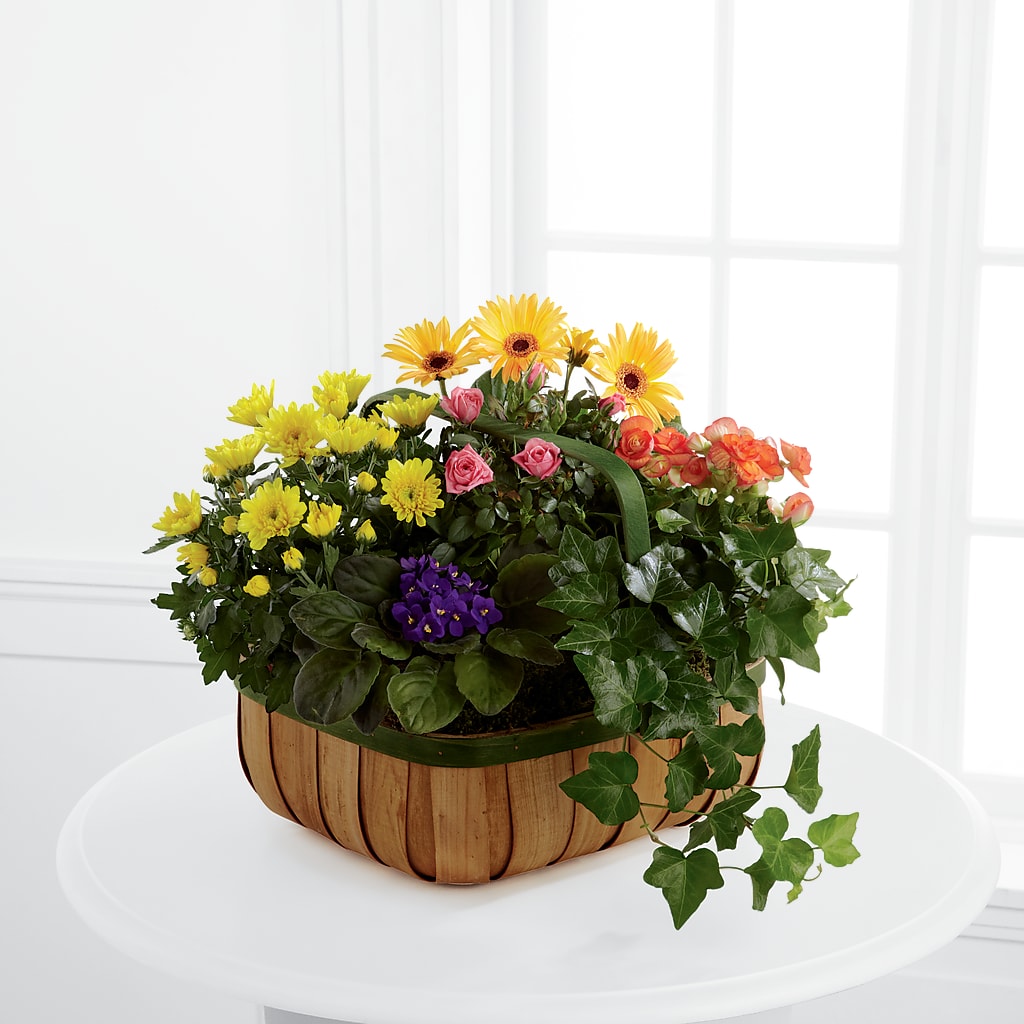 Gentle Blossoms Basket – Garden Of Eden Florist Inc, Coplay PA