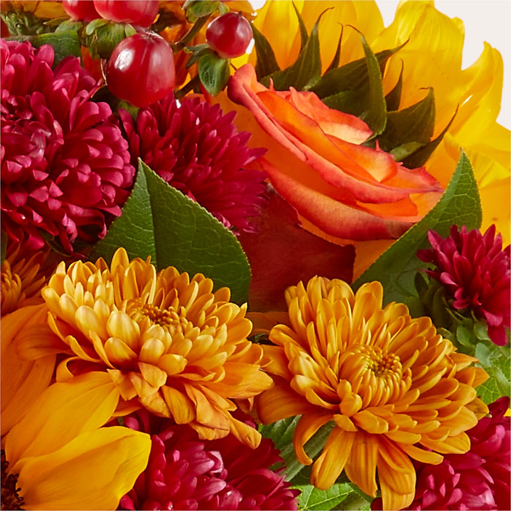 Sweater Season - A Florist Original – Garden Of Eden Florist Inc, Coplay PA