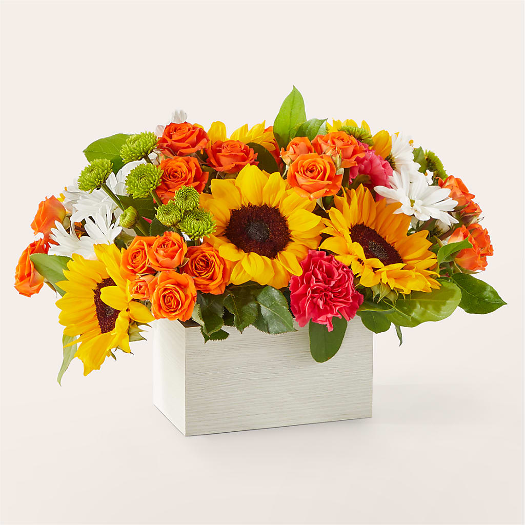 Sun-drenched Blooms Box Bouquet – Garden Of Eden Florist Inc, Coplay PA