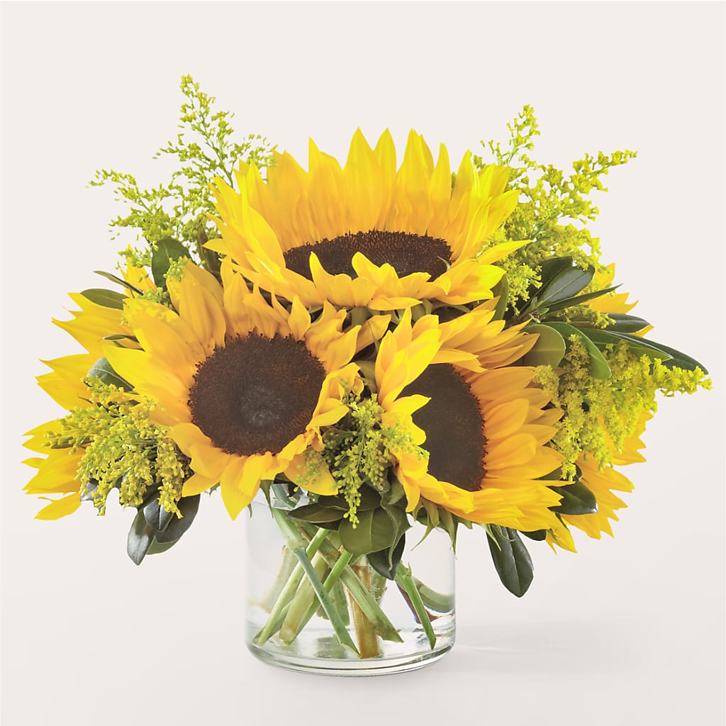 Beaming Sunflower Bouquet – Garden Of Eden Florist Inc, Coplay PA