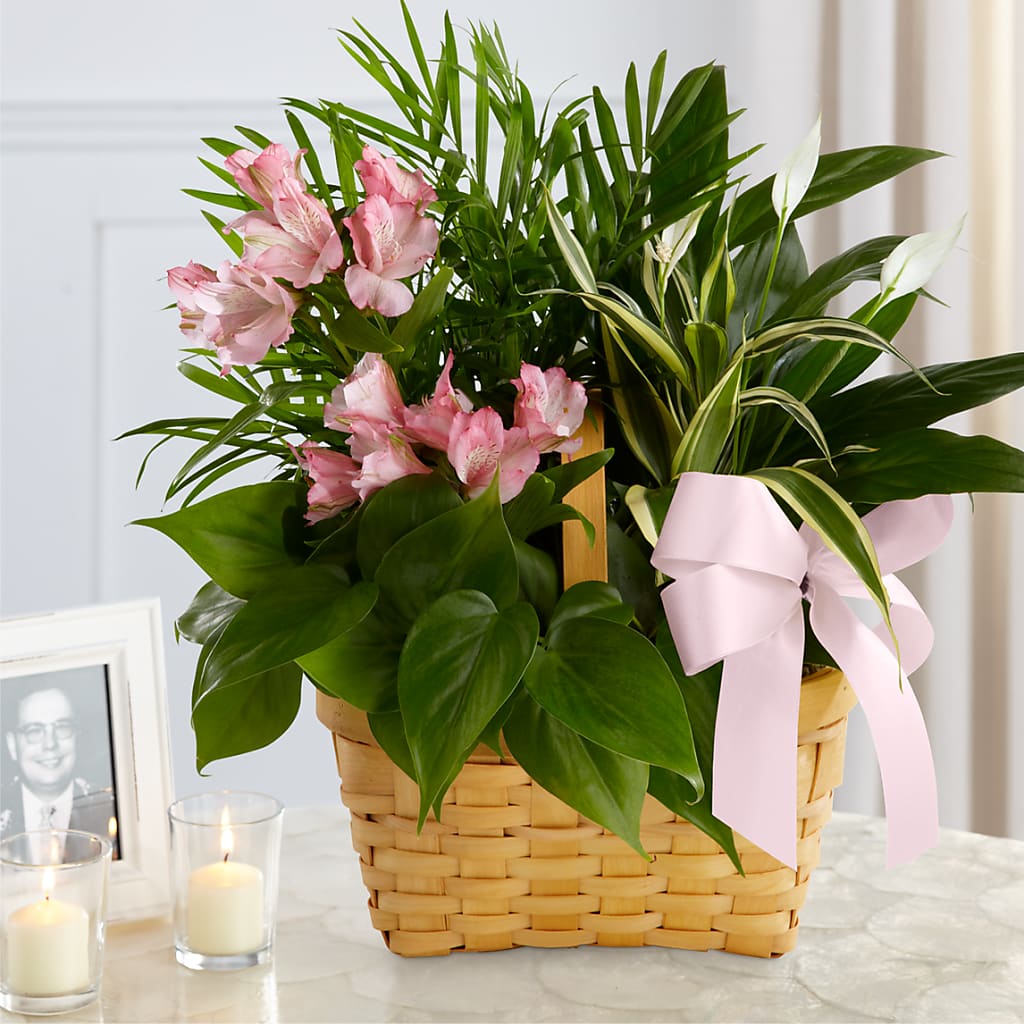Living Spirit Dishgarden – Garden Of Eden Florist Inc, Coplay PA