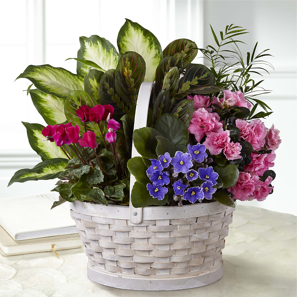 Peaceful Garden Planter – Garden Of Eden Florist Inc, Coplay PA
