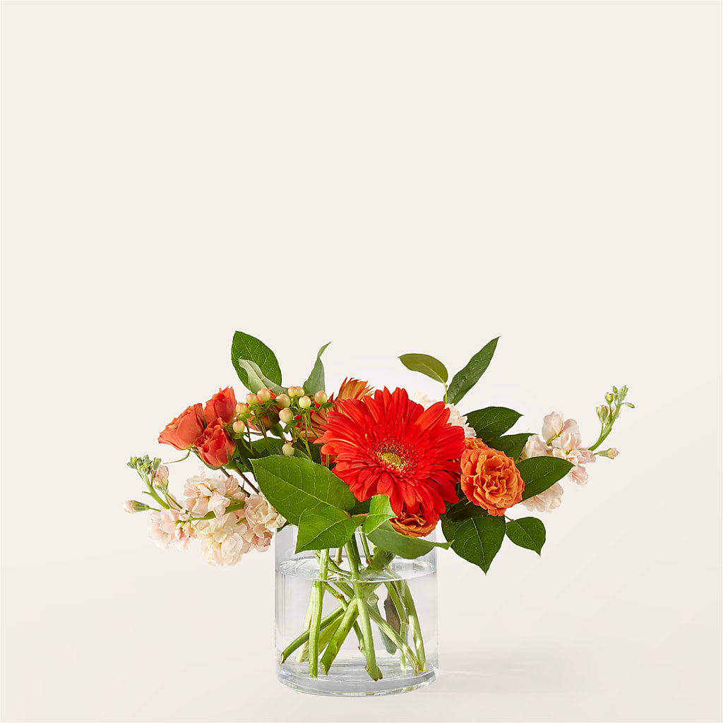 Paloma Please Bouquet – Garden Of Eden Florist Inc, Coplay PA