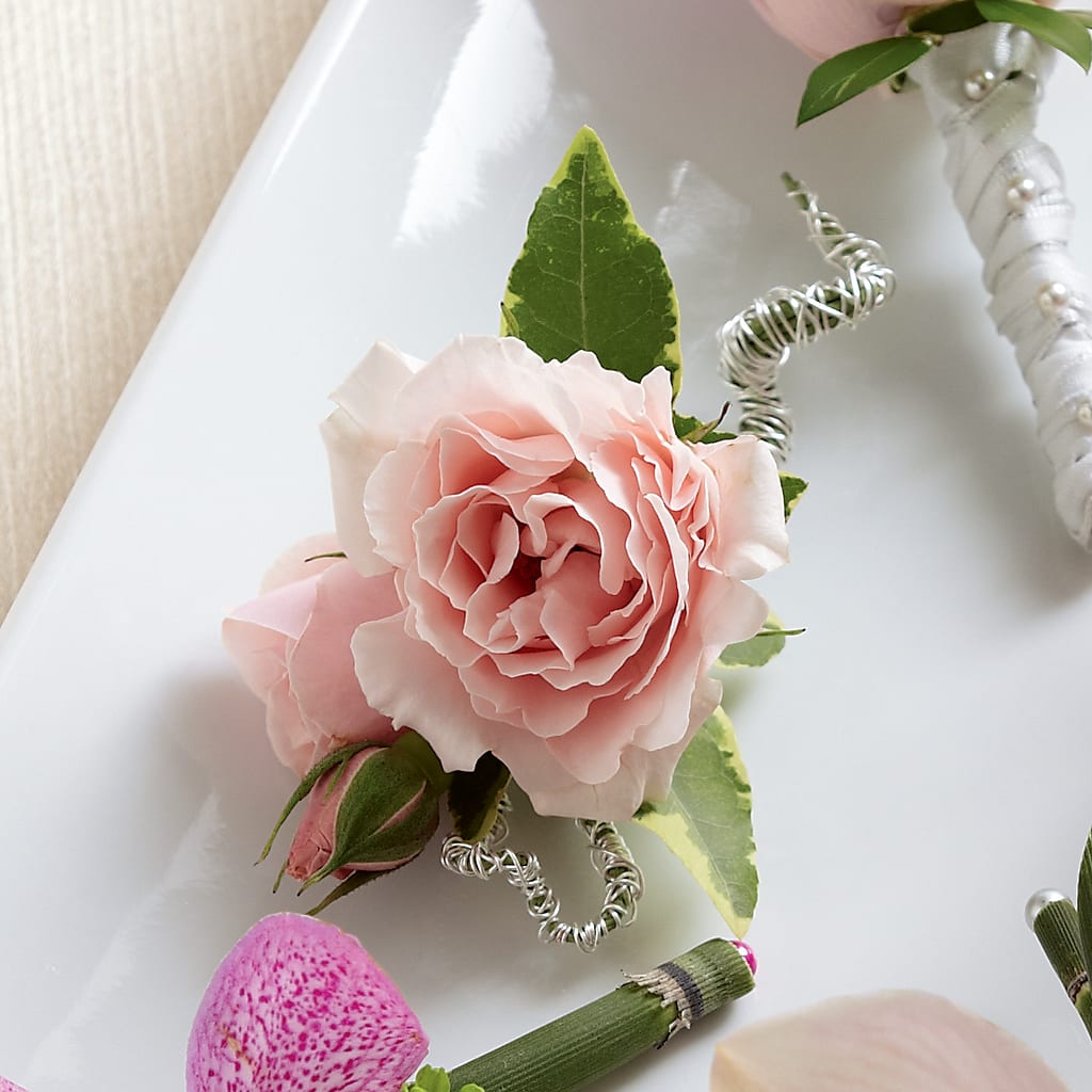 Pink Spray Rose Boutonniere – Garden Of Eden Florist Inc, Coplay PA