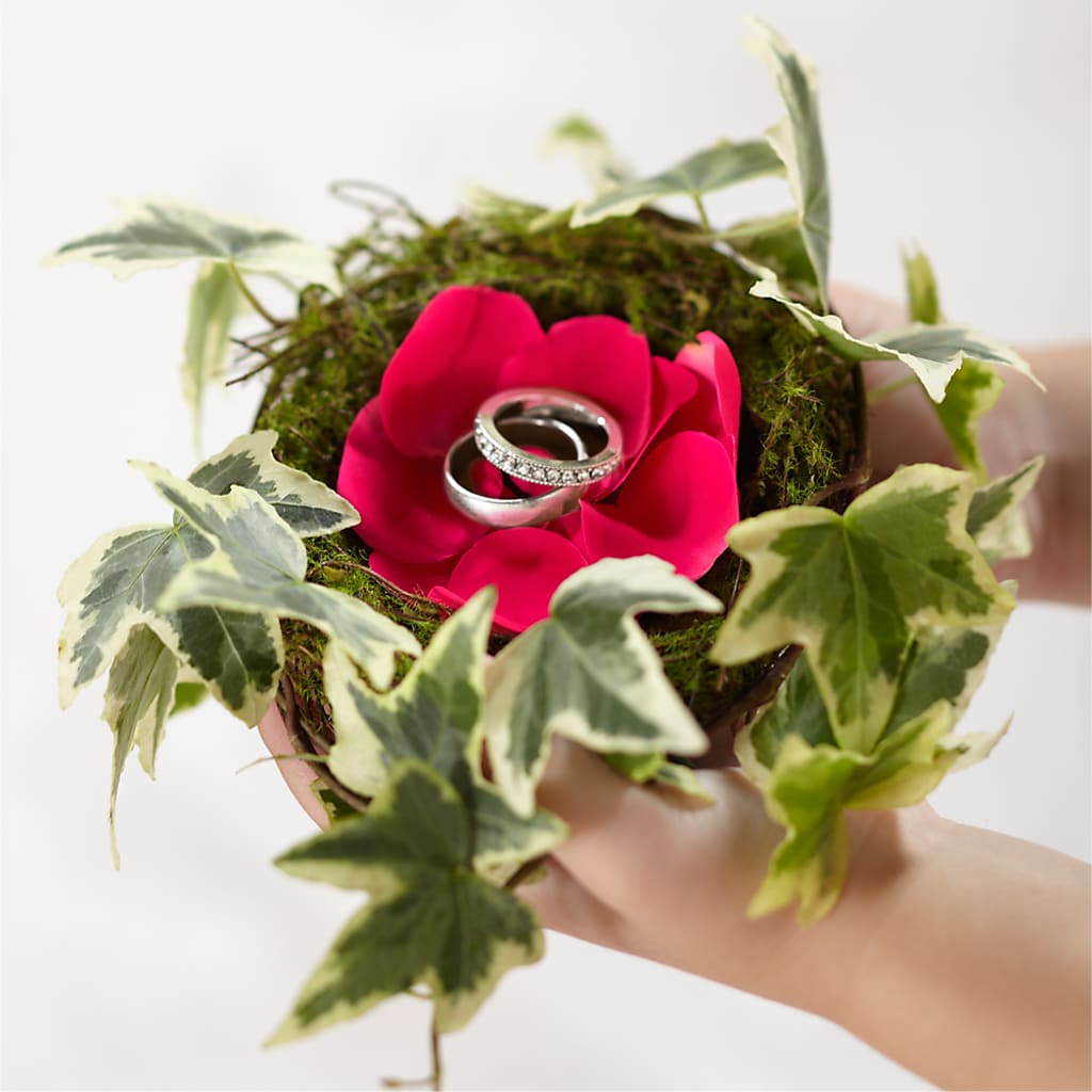 Lila Rose Ring Nest – Garden Of Eden Florist Inc, Coplay PA