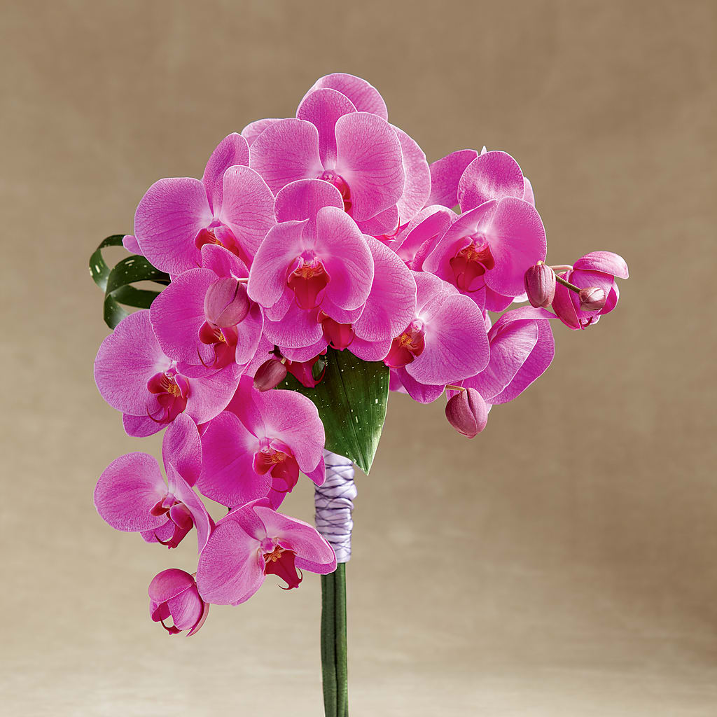 Glorious Bouquet – Garden Of Eden Florist Inc, Coplay PA