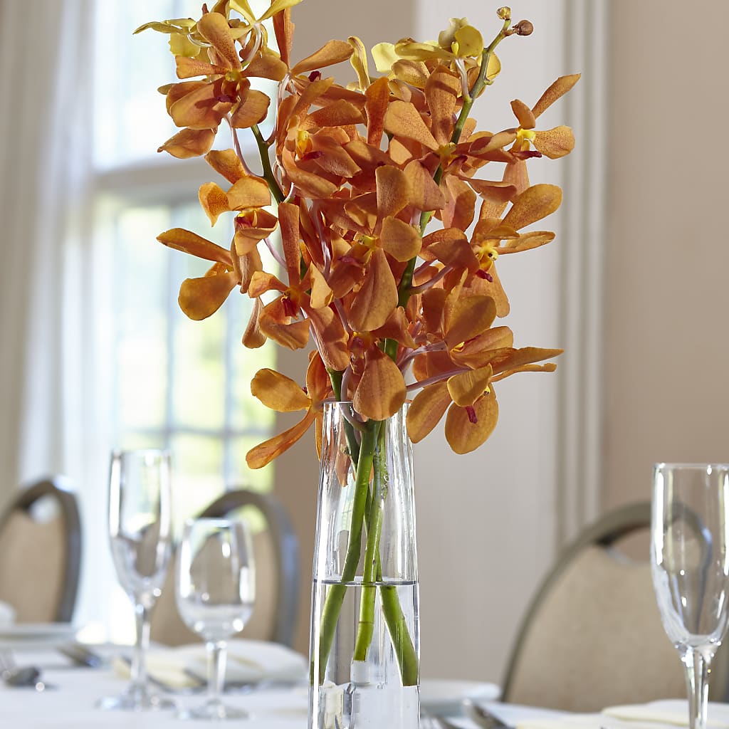 Orange Mokara Bud Vase – Garden Of Eden Florist Inc, Coplay PA
