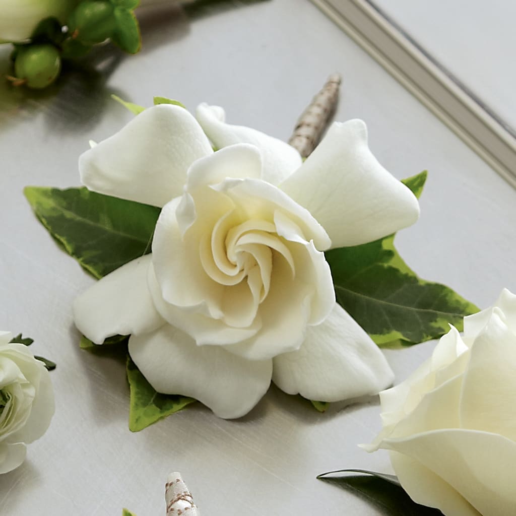 Gardenia Boutonniere – Garden Of Eden Florist Inc, Coplay PA