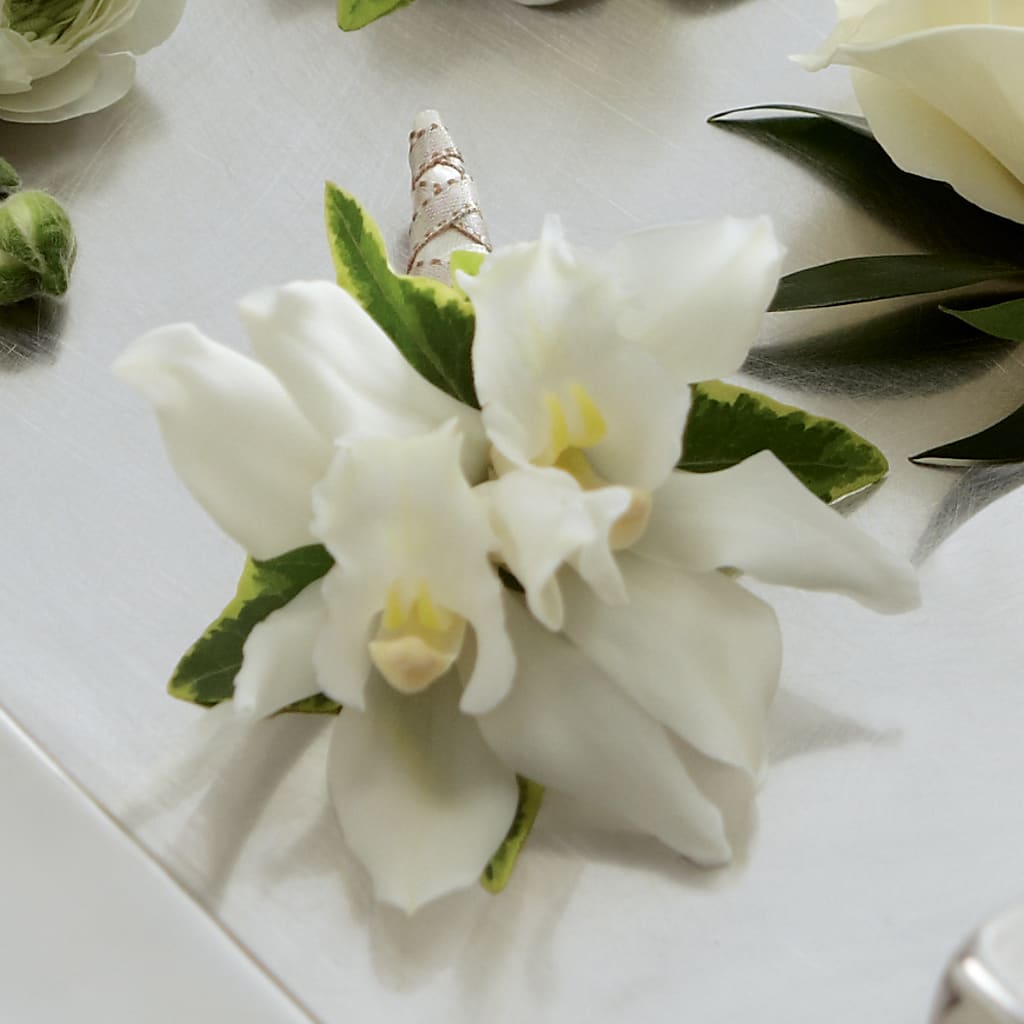 White Mini Cymbidium Boutonniere – Garden Of Eden Florist Inc, Coplay PA