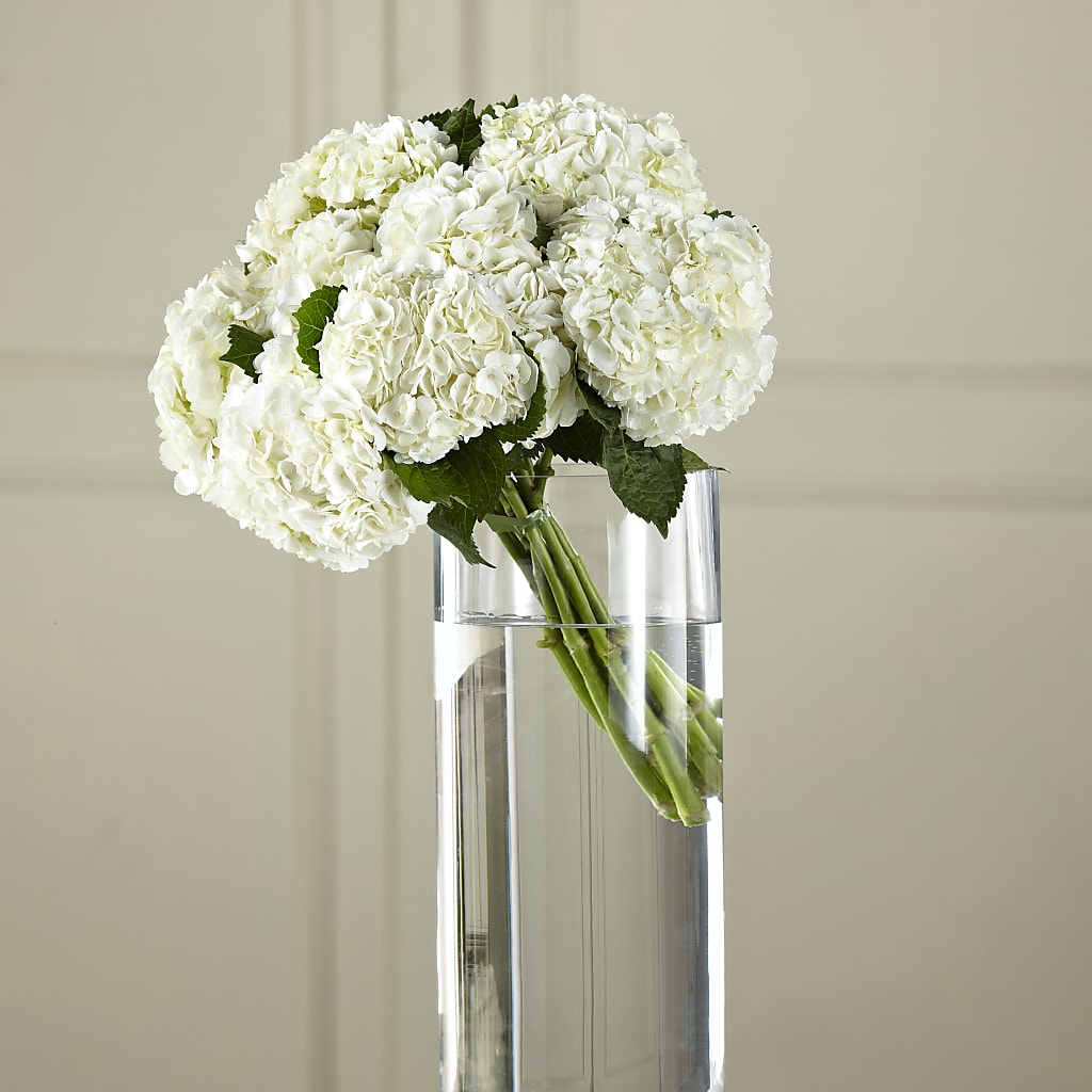 White Hydrangea Hand-Tied Bouquet – Garden Of Eden Florist Inc, Coplay PA
