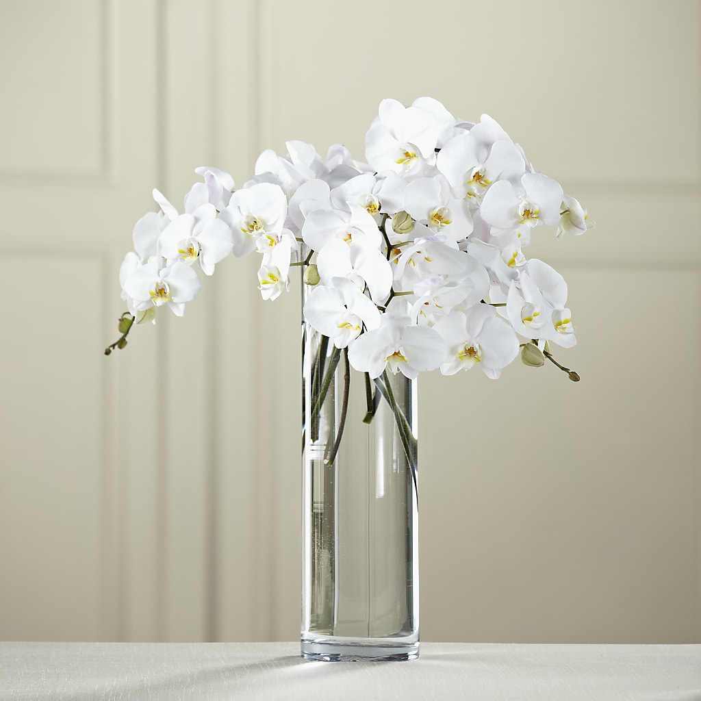 White Phalaenopsis Bouquet – Garden Of Eden Florist Inc, Coplay PA