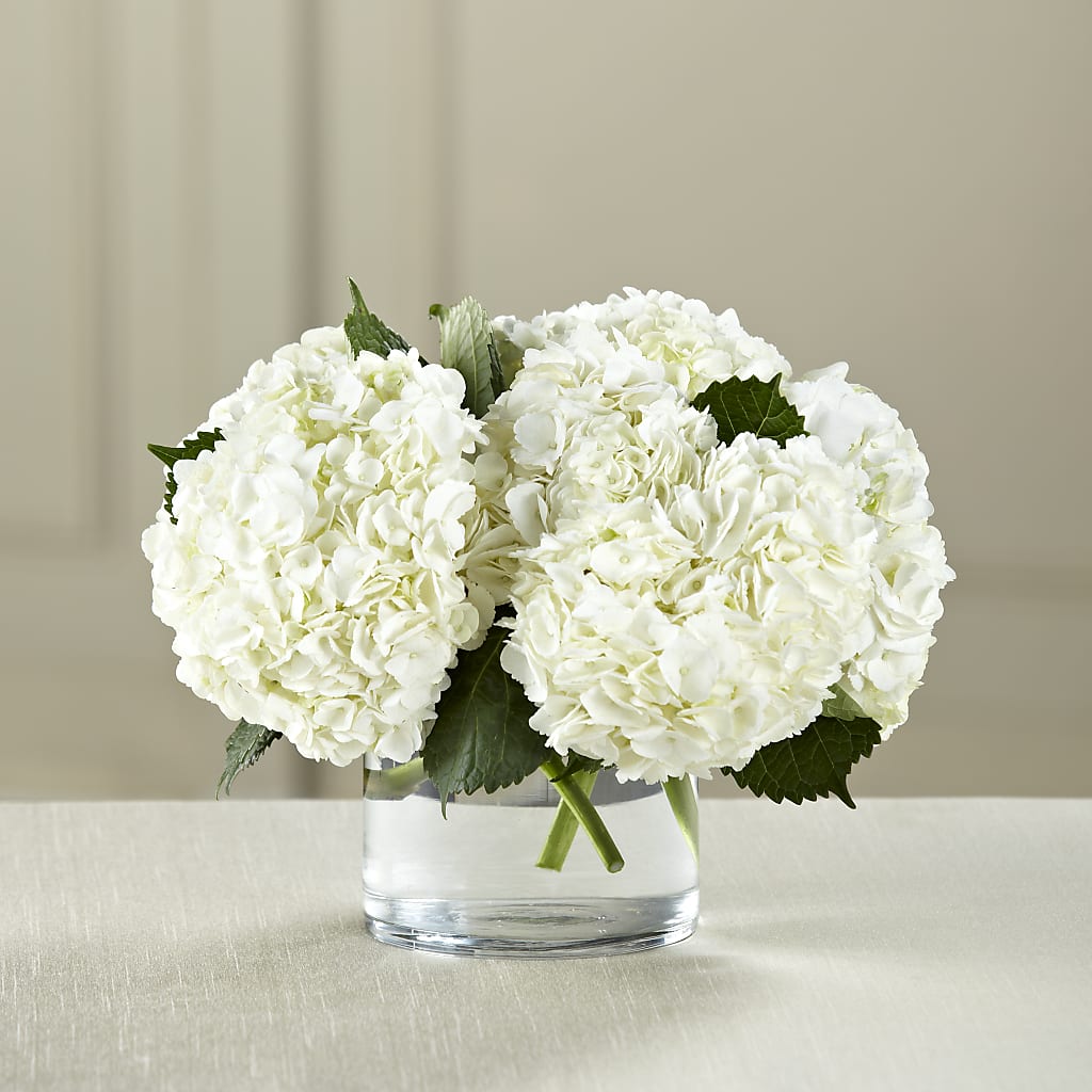 White Hydrangea Bouquet – Garden Of Eden Florist Inc, Coplay PA