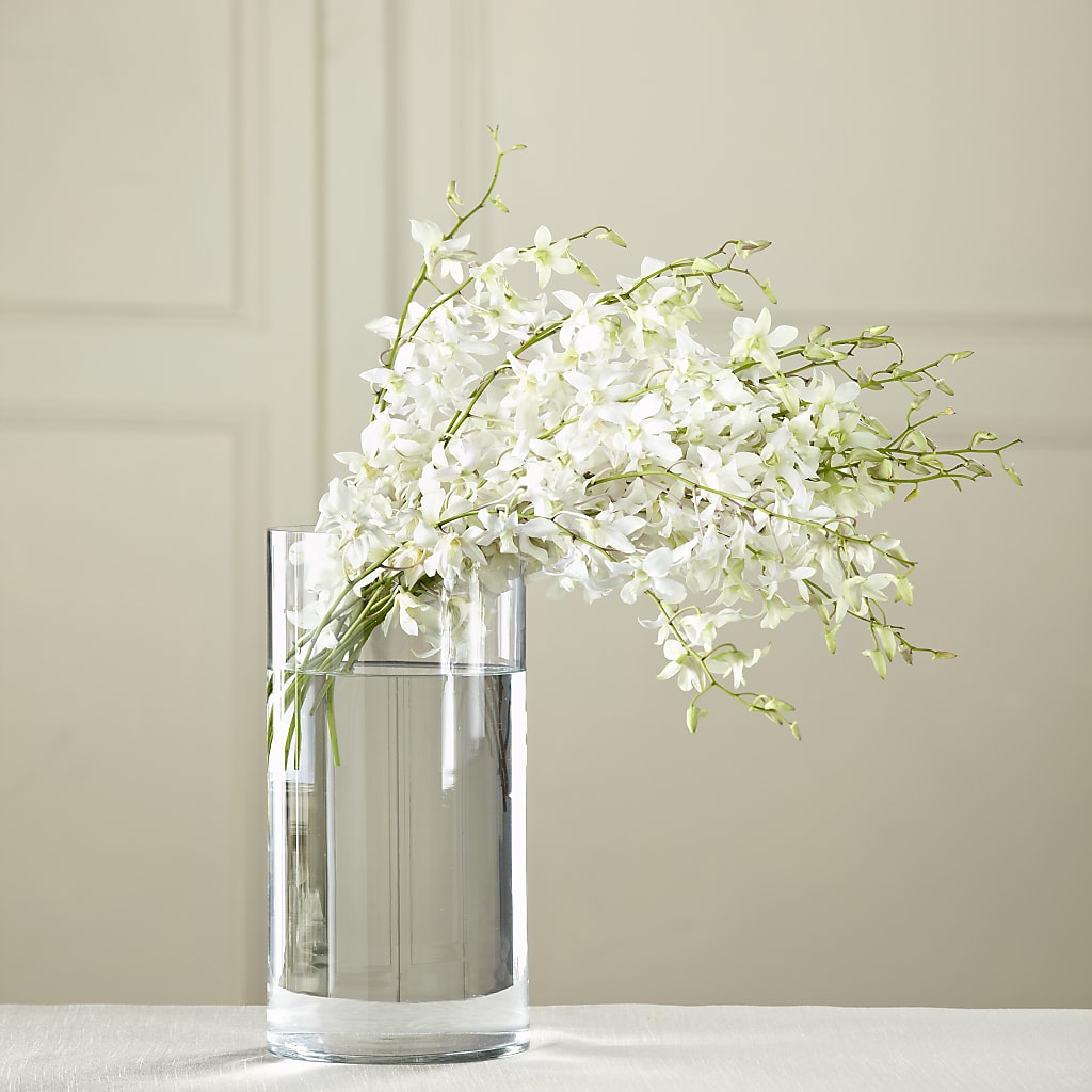 White Dendrobium Bouquet – Garden Of Eden Florist Inc, Coplay PA