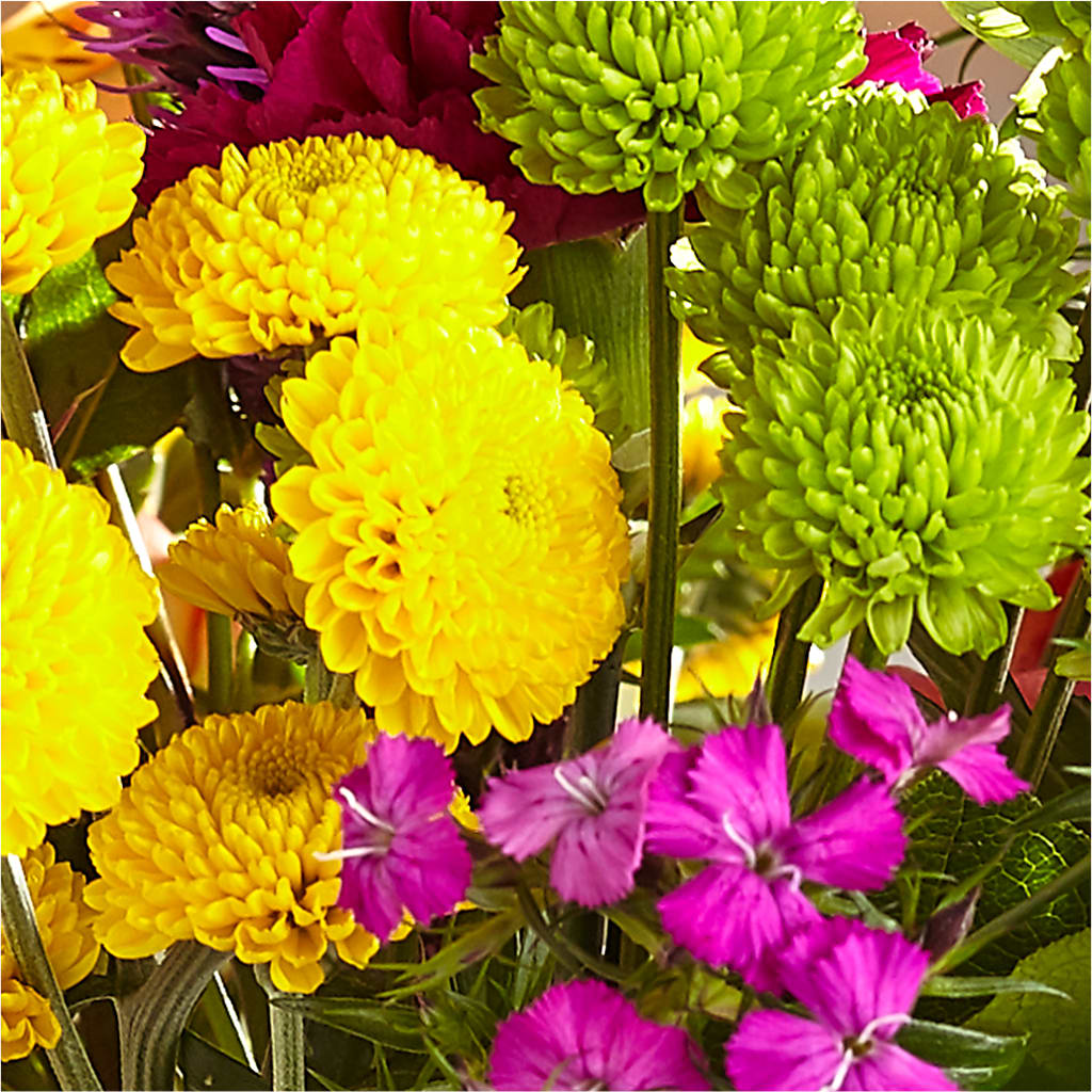 Bold & Bright – A Florist Original –  Garden Of Eden Florist Inc, Coplay PA