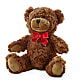 Adorable Plush Bear –  Garden Of Eden Florist Inc, Coplay PA