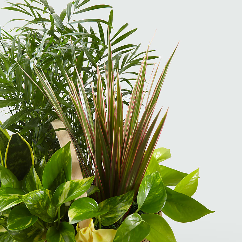 French Garden –  Garden Of Eden Florist Inc, Coplay PA