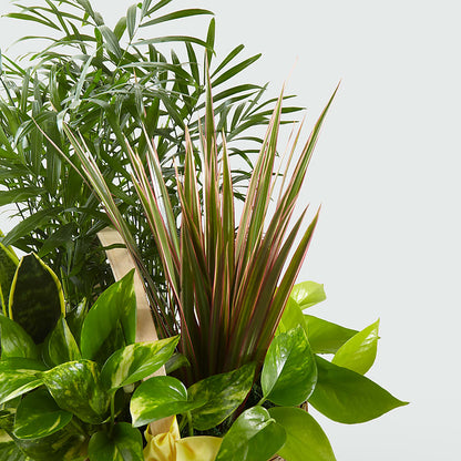 French Garden –  Garden Of Eden Florist Inc, Coplay PA