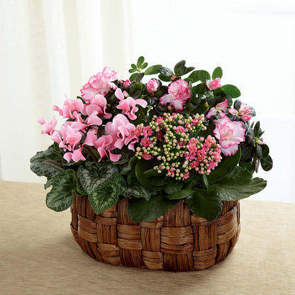 Pink Assortment –  Garden Of Eden Florist Inc, Coplay PA