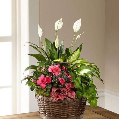 Dream in Pink Dishgarden –  Garden Of Eden Florist Inc, Coplay PA