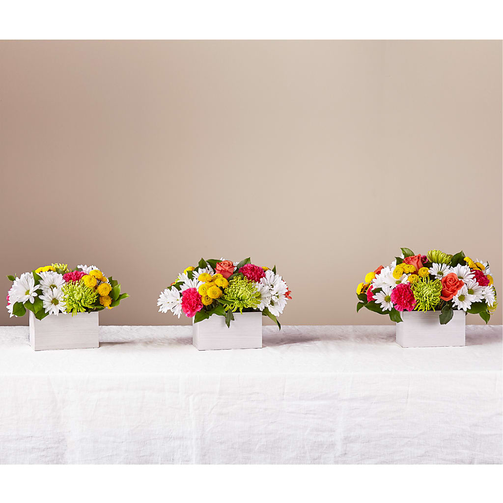 Sorbet Bouquet –  Garden Of Eden Florist Inc, Coplay PA