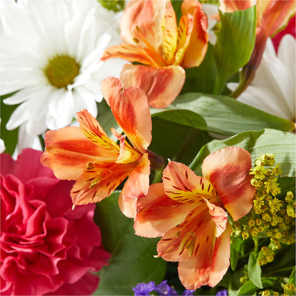 Oopsie Daisy Box Bouquet –  Garden Of Eden Florist Inc, Coplay PA