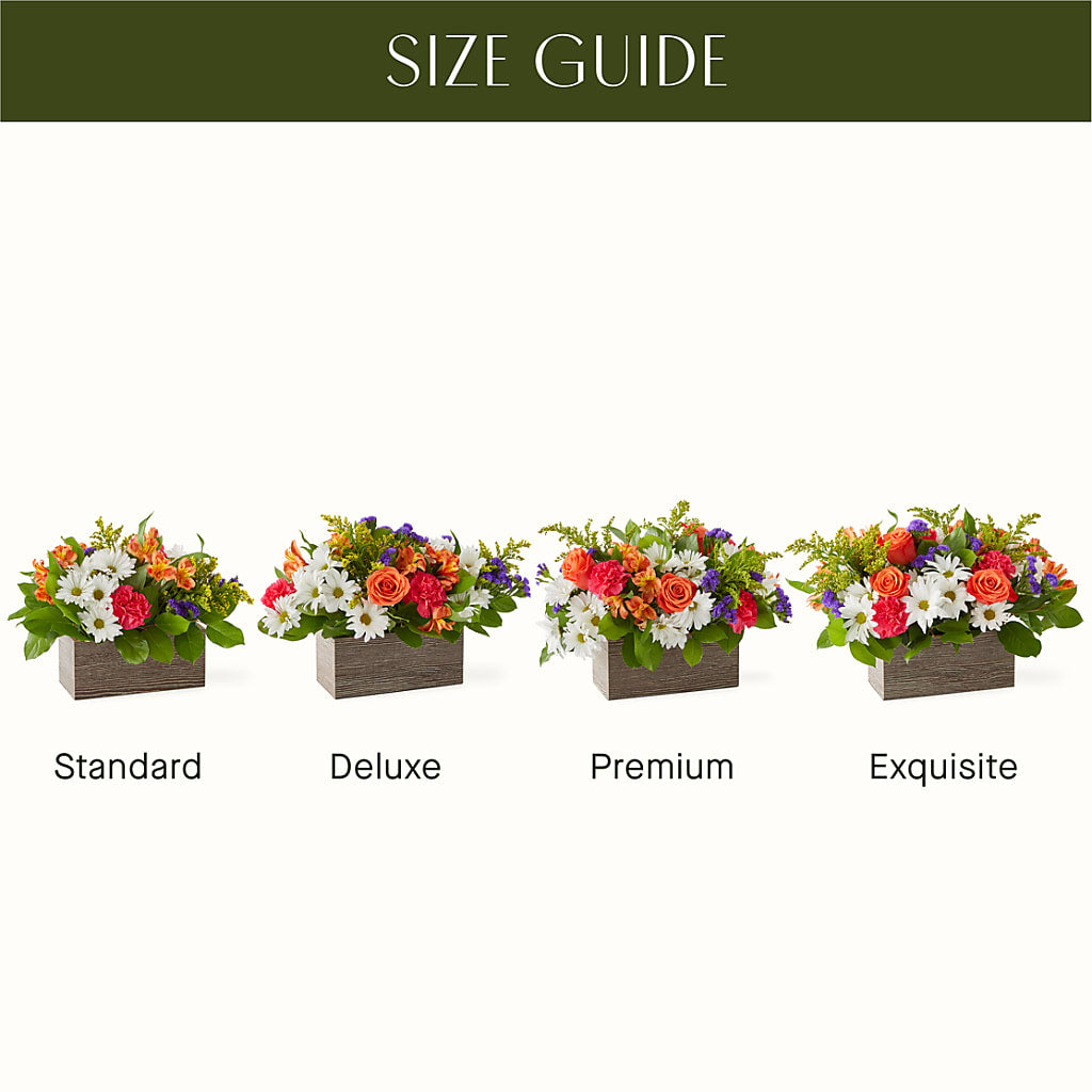 Oopsie Daisy Box Bouquet –  Garden Of Eden Florist Inc, Coplay PA
