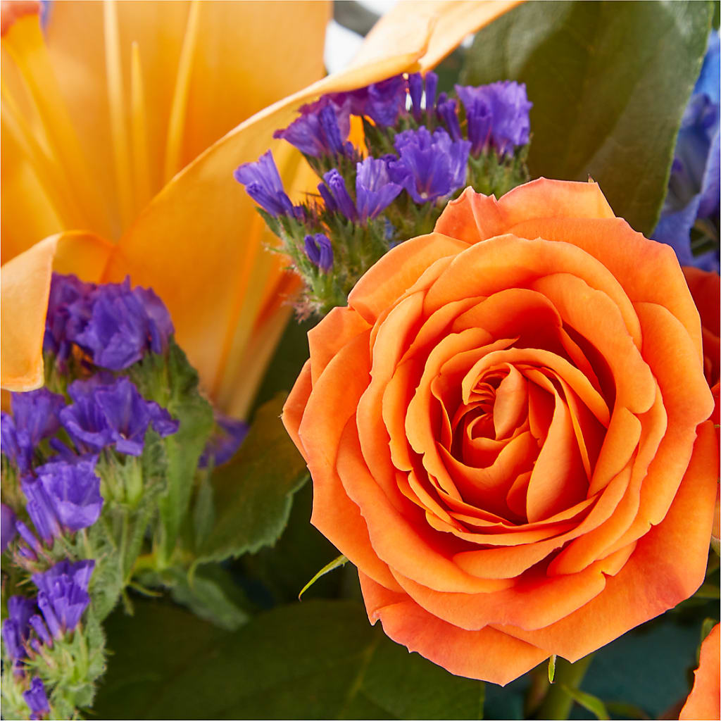 Radiant Citrus Box Bouquet –  Garden Of Eden Florist Inc, Coplay PA