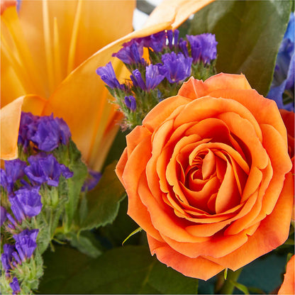 Radiant Citrus Box Bouquet –  Garden Of Eden Florist Inc, Coplay PA