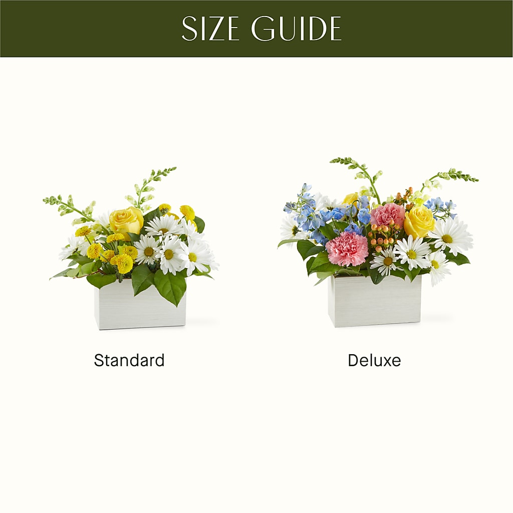 Sun Salutation Box Bouquet –  Garden Of Eden Florist Inc, Coplay PA