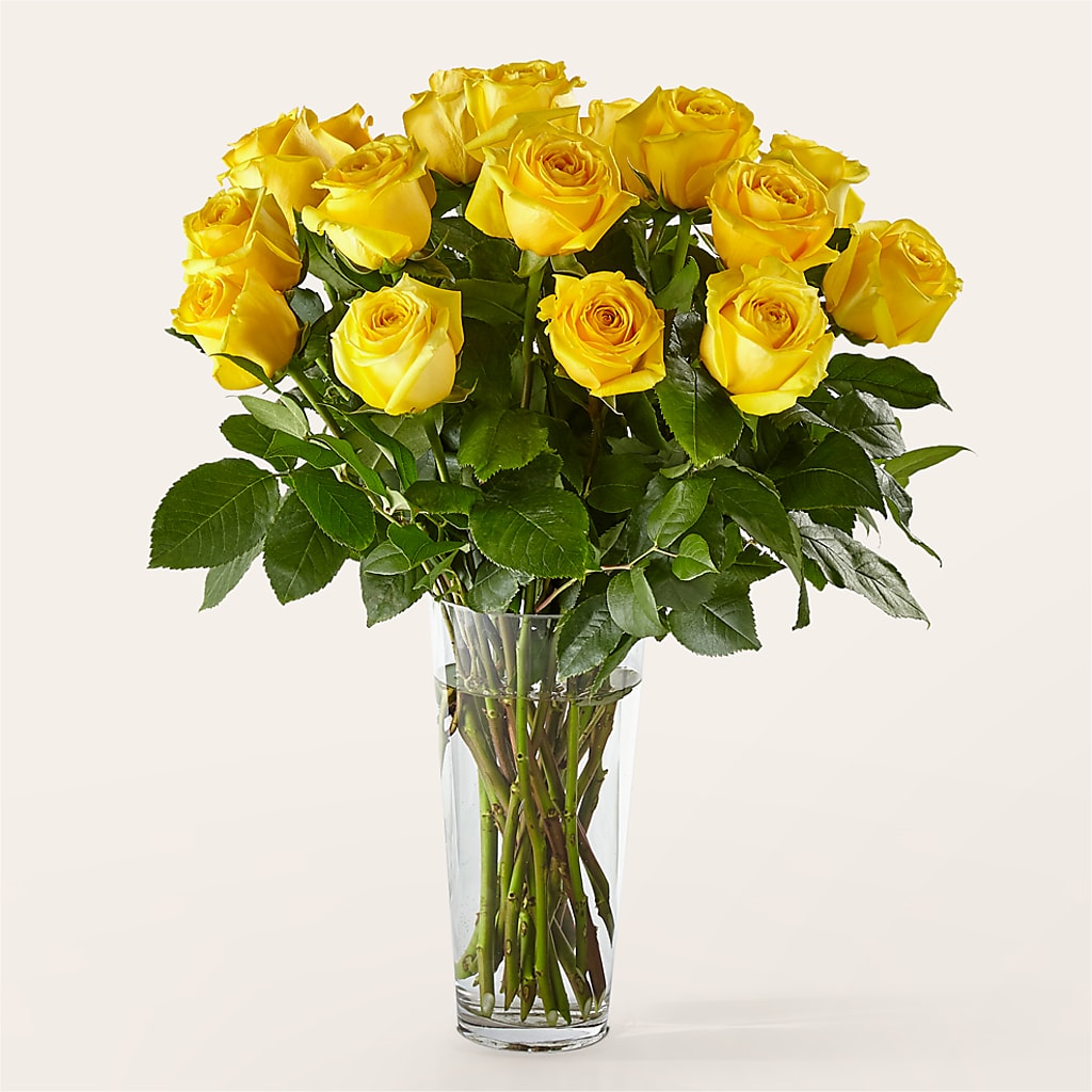 Long Stem Yellow Rose Bouquet –  Garden Of Eden Florist Inc, Coplay PA