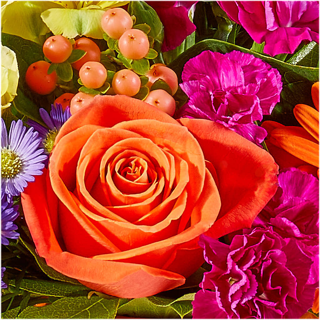 Tricks & Treats Pumpkin –  Garden Of Eden Florist Inc, Coplay PA