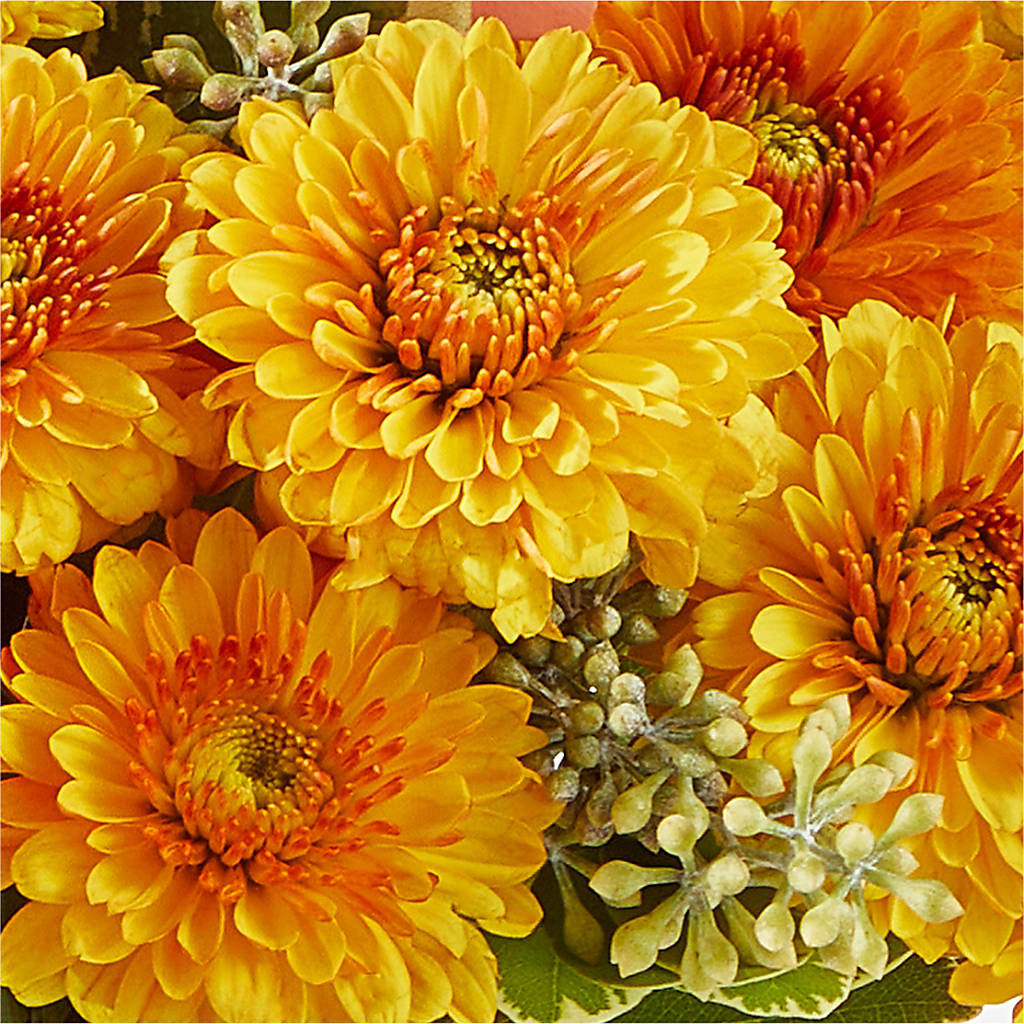 Peachy Pumpkin –  Garden Of Eden Florist Inc, Coplay PA