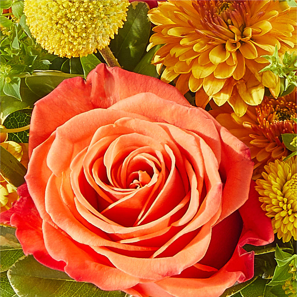 Gourdgeous Pumpkin –  Garden Of Eden Florist Inc, Coplay PA