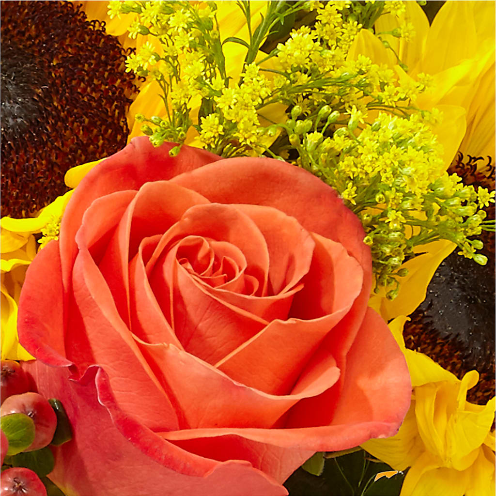 Pick of the Patch Pumpkin Bouquet –  Garden Of Eden Florist Inc, Coplay PA