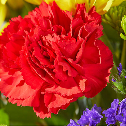 Brighter Days Bouquet –  Garden Of Eden Florist Inc, Coplay PA