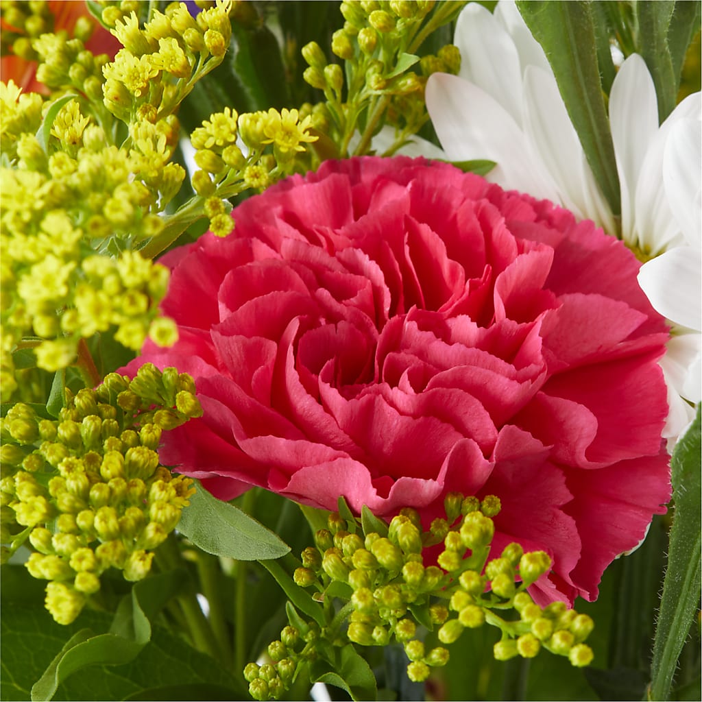Oopsie Daisy Bouquet –  Garden Of Eden Florist Inc, Coplay PA