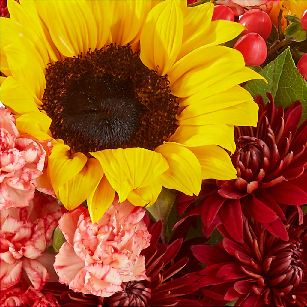 Fresh Cider Bouquet –  Garden Of Eden Florist Inc, Coplay PA