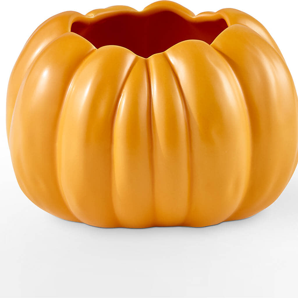 Golden Gourd Pumpkin Bouquet –  Garden Of Eden Florist Inc, Coplay PA