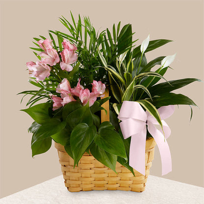 Living Spirit Dishgarden –  Garden Of Eden Florist Inc, Coplay PA
