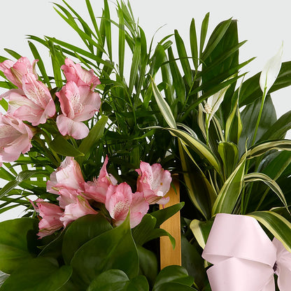 Living Spirit Dishgarden –  Garden Of Eden Florist Inc, Coplay PA