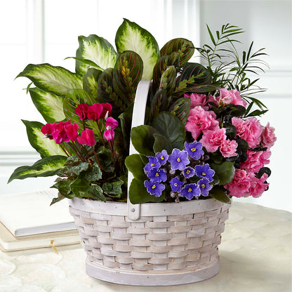 Peaceful Garden Planter –  Garden Of Eden Florist Inc, Coplay PA