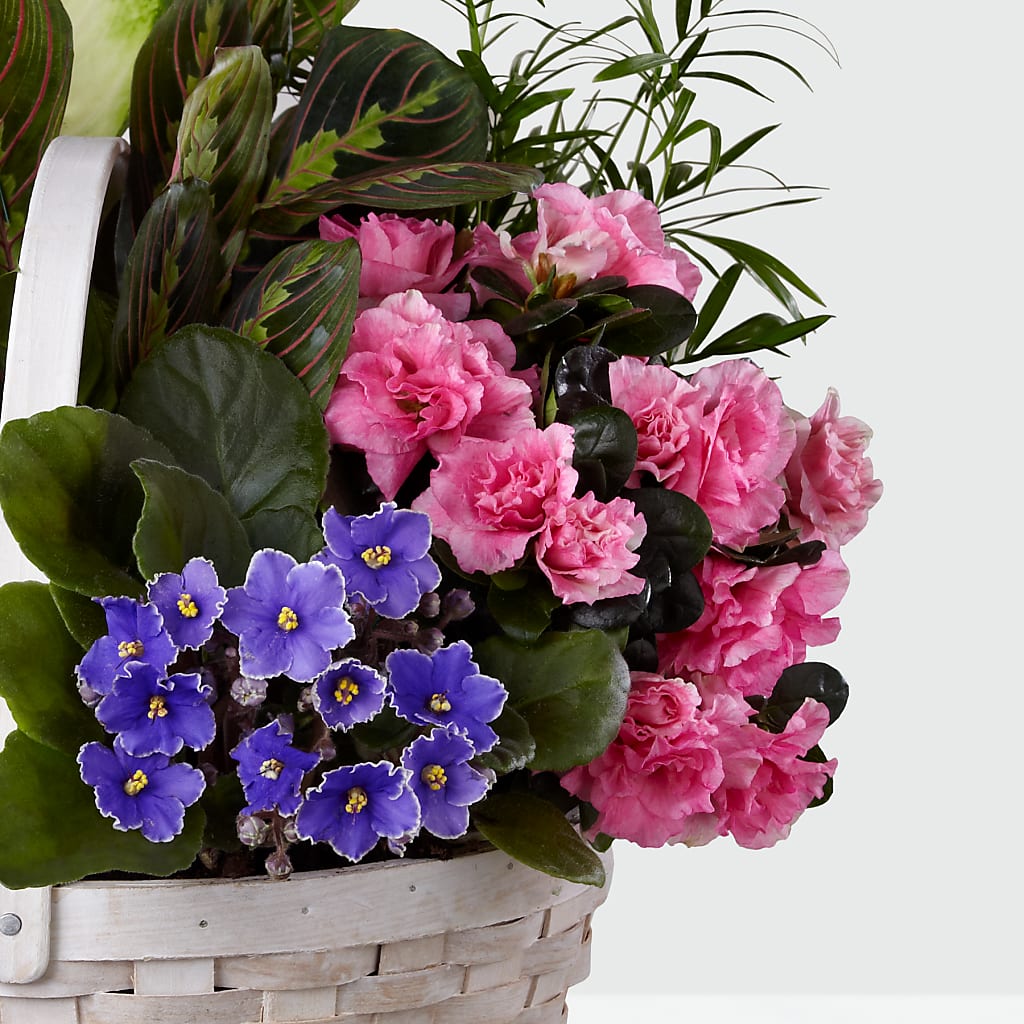 Peaceful Garden Planter –  Garden Of Eden Florist Inc, Coplay PA