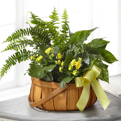 Always Dear Dishgarden –  Garden Of Eden Florist Inc, Coplay PA