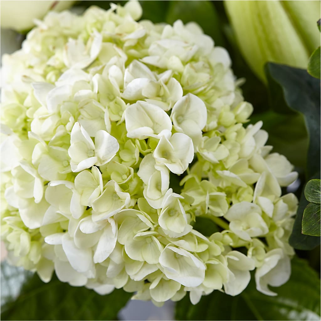 Classic Ivory – A Florist Original –  Garden Of Eden Florist Inc, Coplay PA