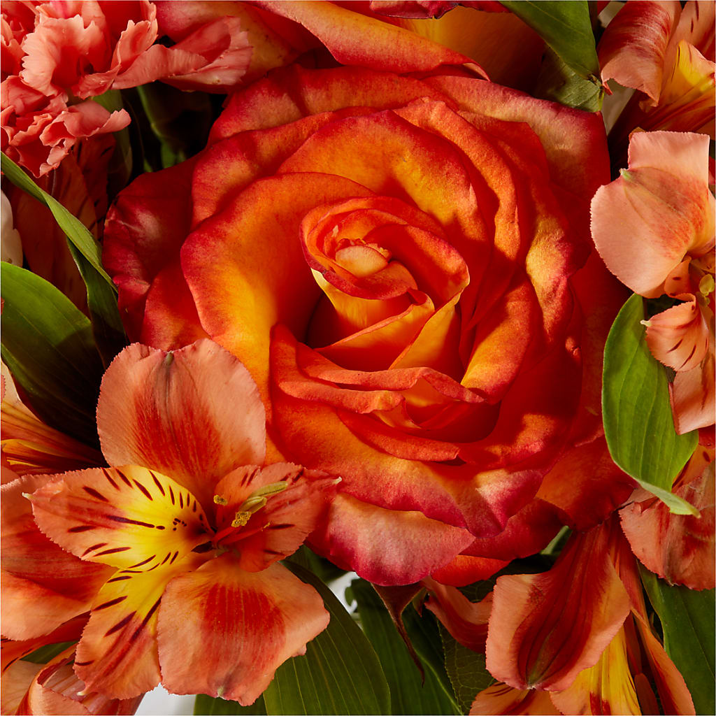 Apricot Glow Bouquet –  Garden Of Eden Florist Inc, Coplay PA