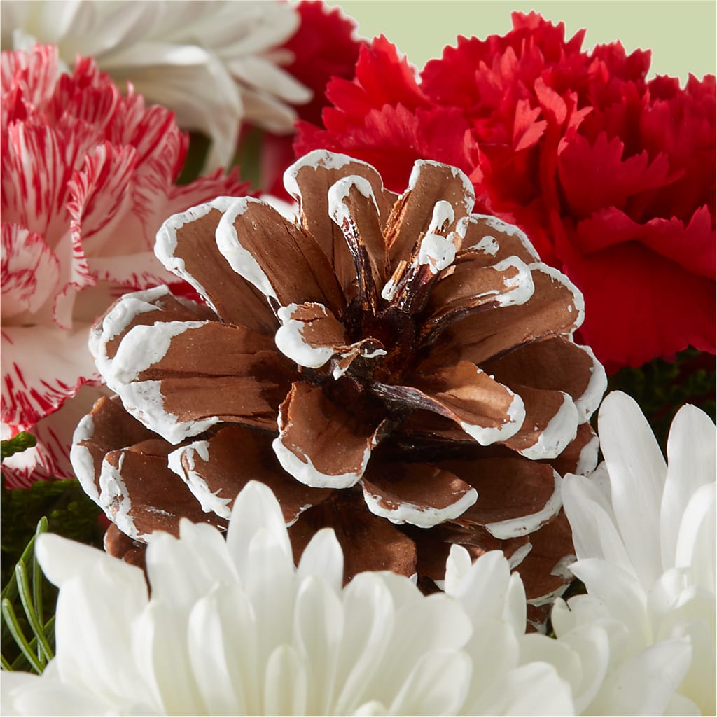 Candy Cane Lane Bouquet –  Garden Of Eden Florist Inc, Coplay PA
